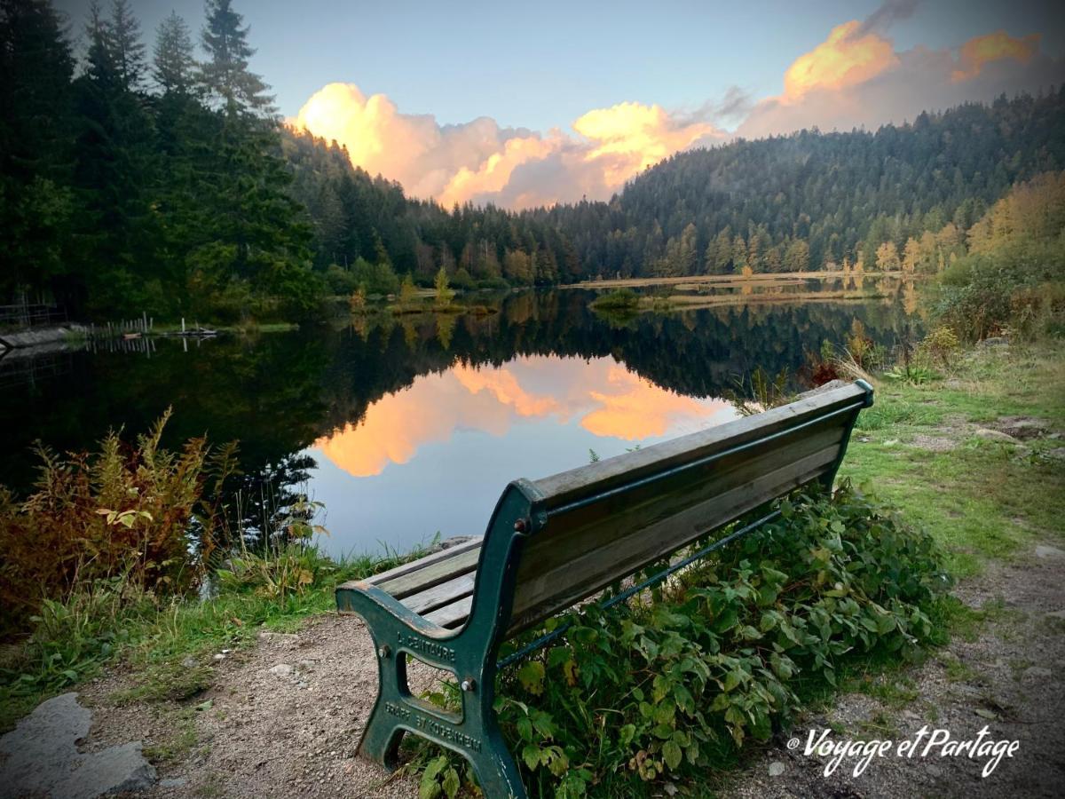 Appartamento Demoiselle Des Roches Ramonchamp Esterno foto