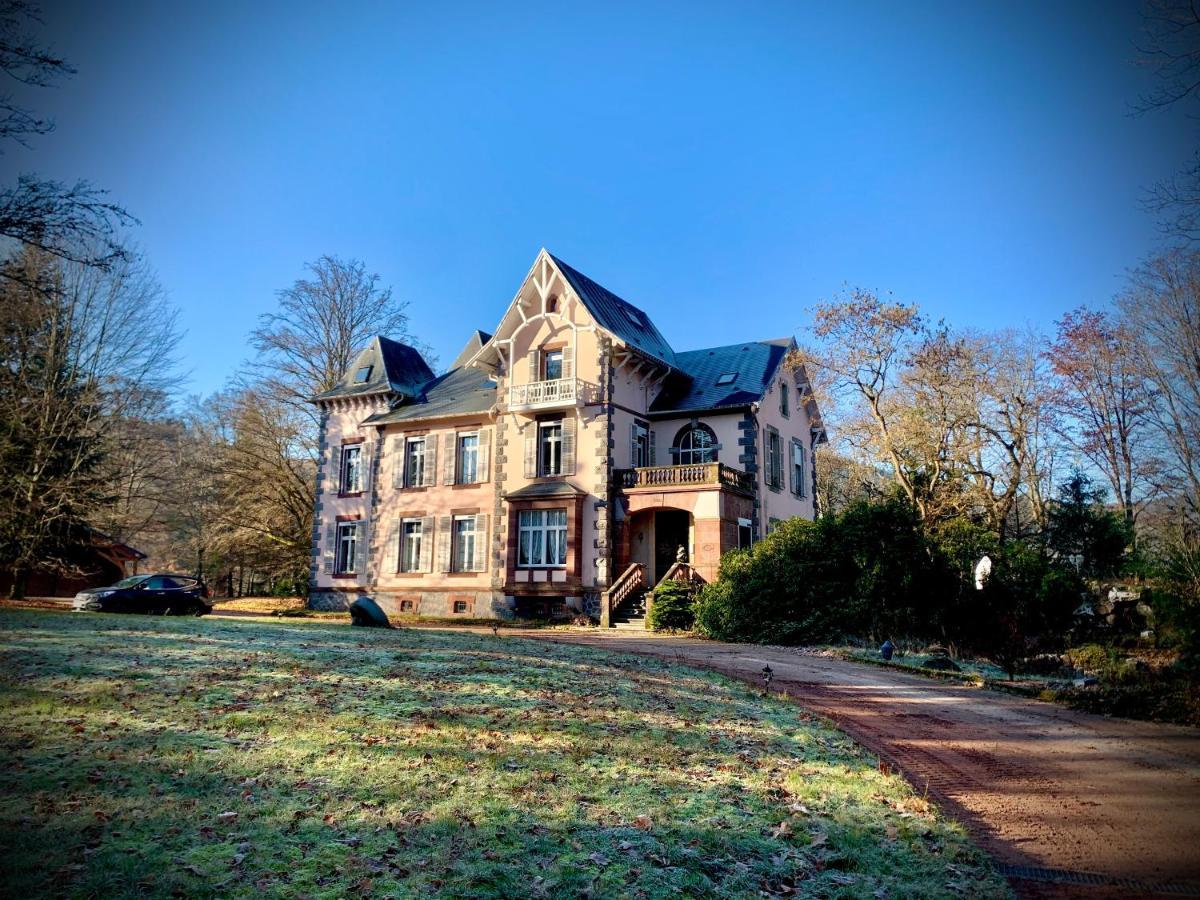 Appartamento Demoiselle Des Roches Ramonchamp Esterno foto
