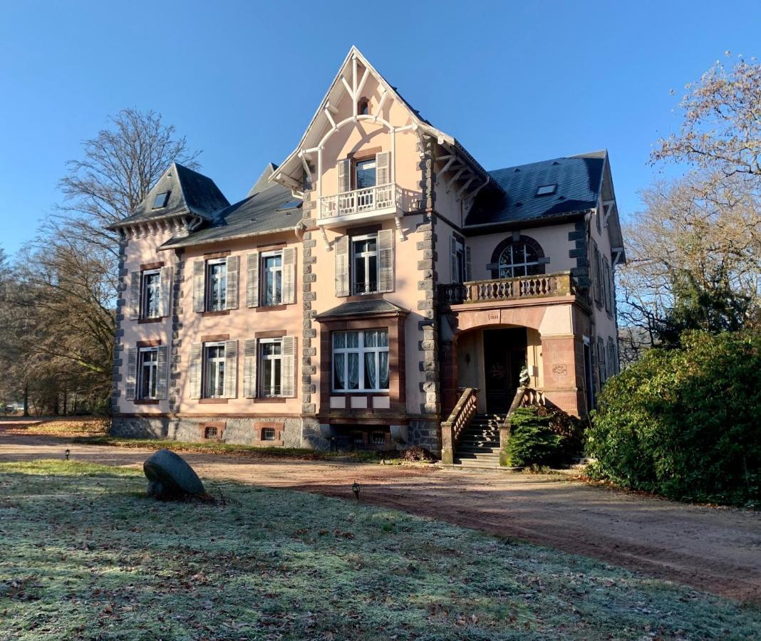 Appartamento Demoiselle Des Roches Ramonchamp Esterno foto
