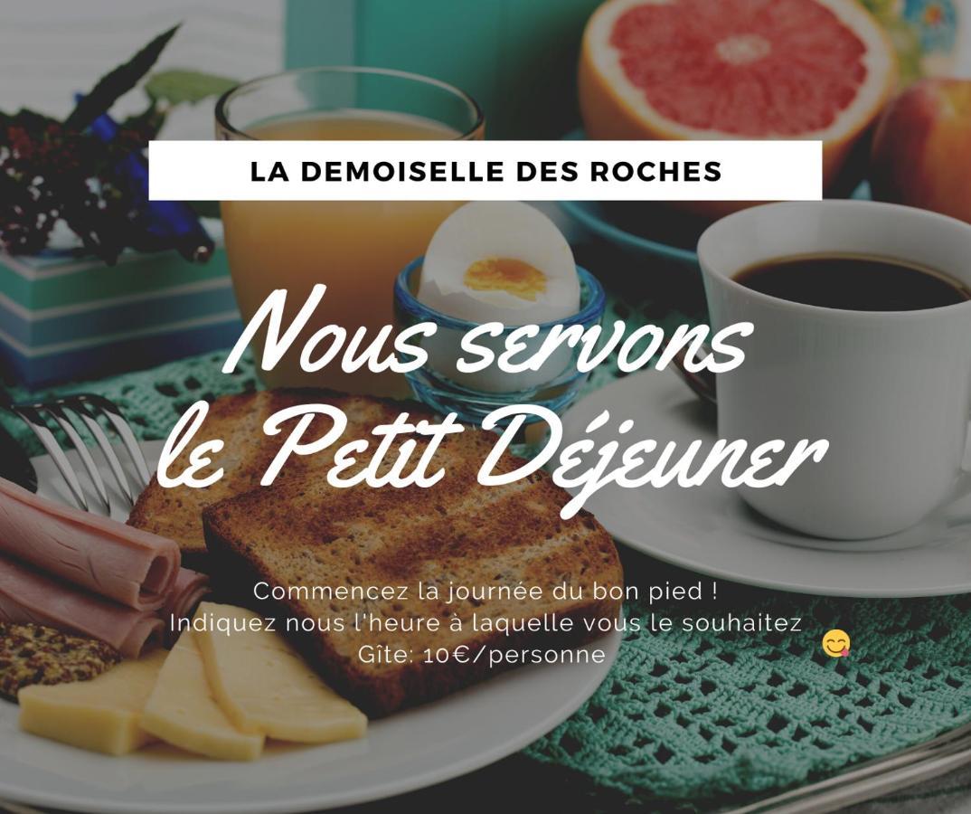 Appartamento Demoiselle Des Roches Ramonchamp Esterno foto