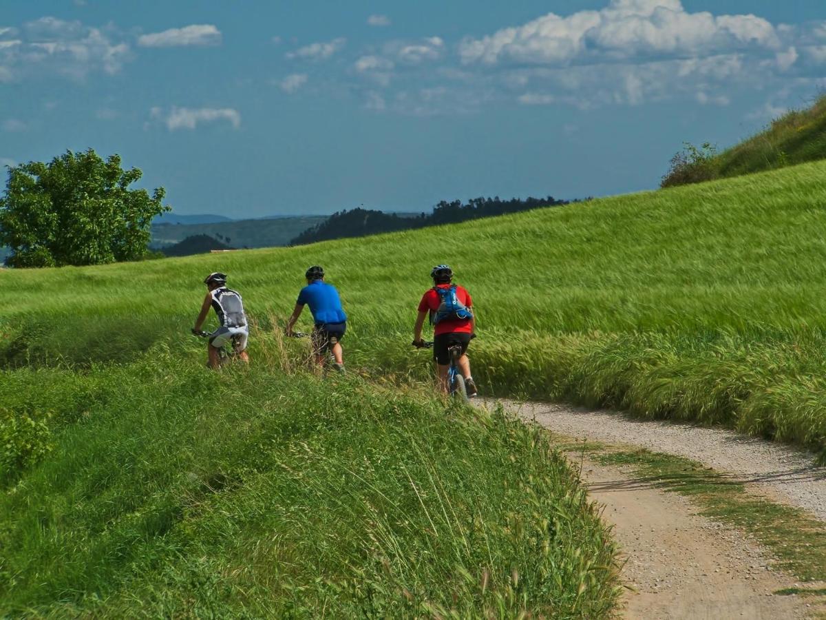 Appartamento Demoiselle Des Roches Ramonchamp Esterno foto