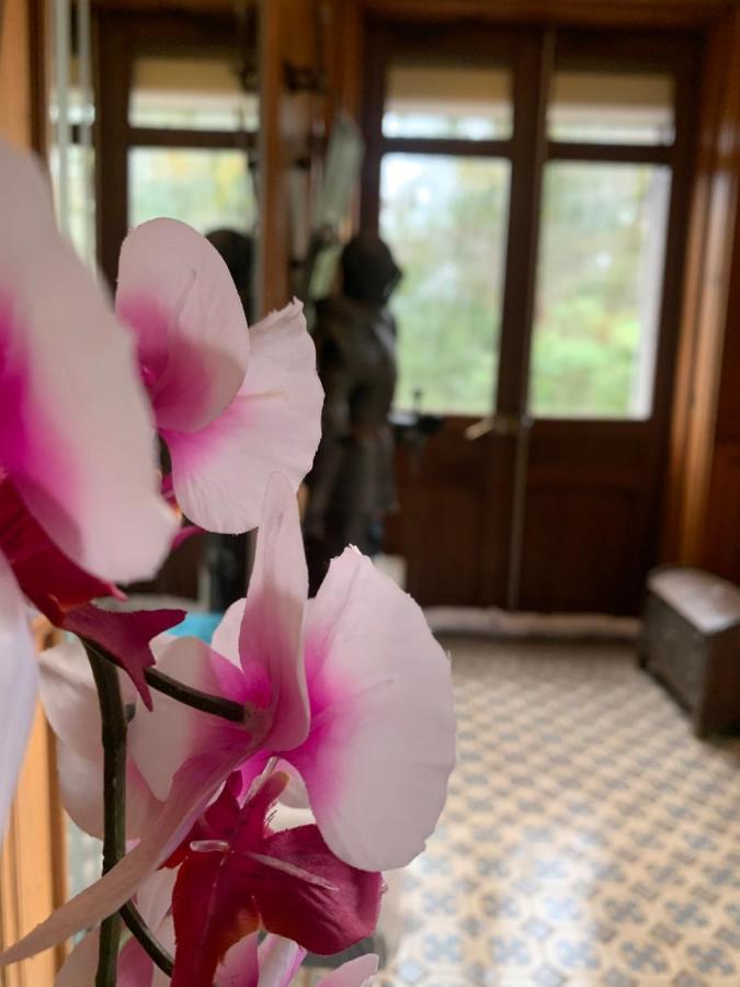 Appartamento Demoiselle Des Roches Ramonchamp Esterno foto