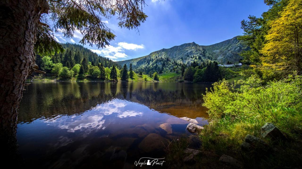 Appartamento Demoiselle Des Roches Ramonchamp Esterno foto