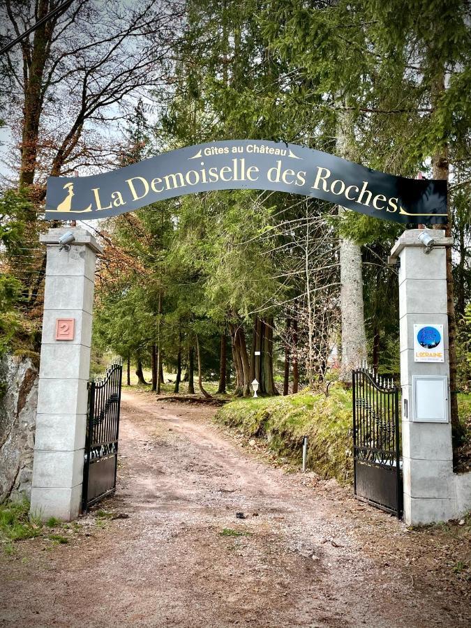 Appartamento Demoiselle Des Roches Ramonchamp Esterno foto